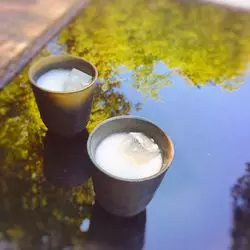 1度は訪れたい！熱海にある人気パワースポット来宮神社♡