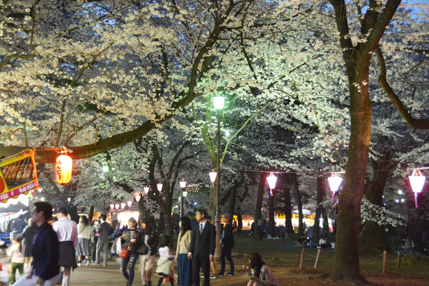 埼玉県の桜のお花見名所10選！それぞれのユニークな魅力をご紹介♪の画像