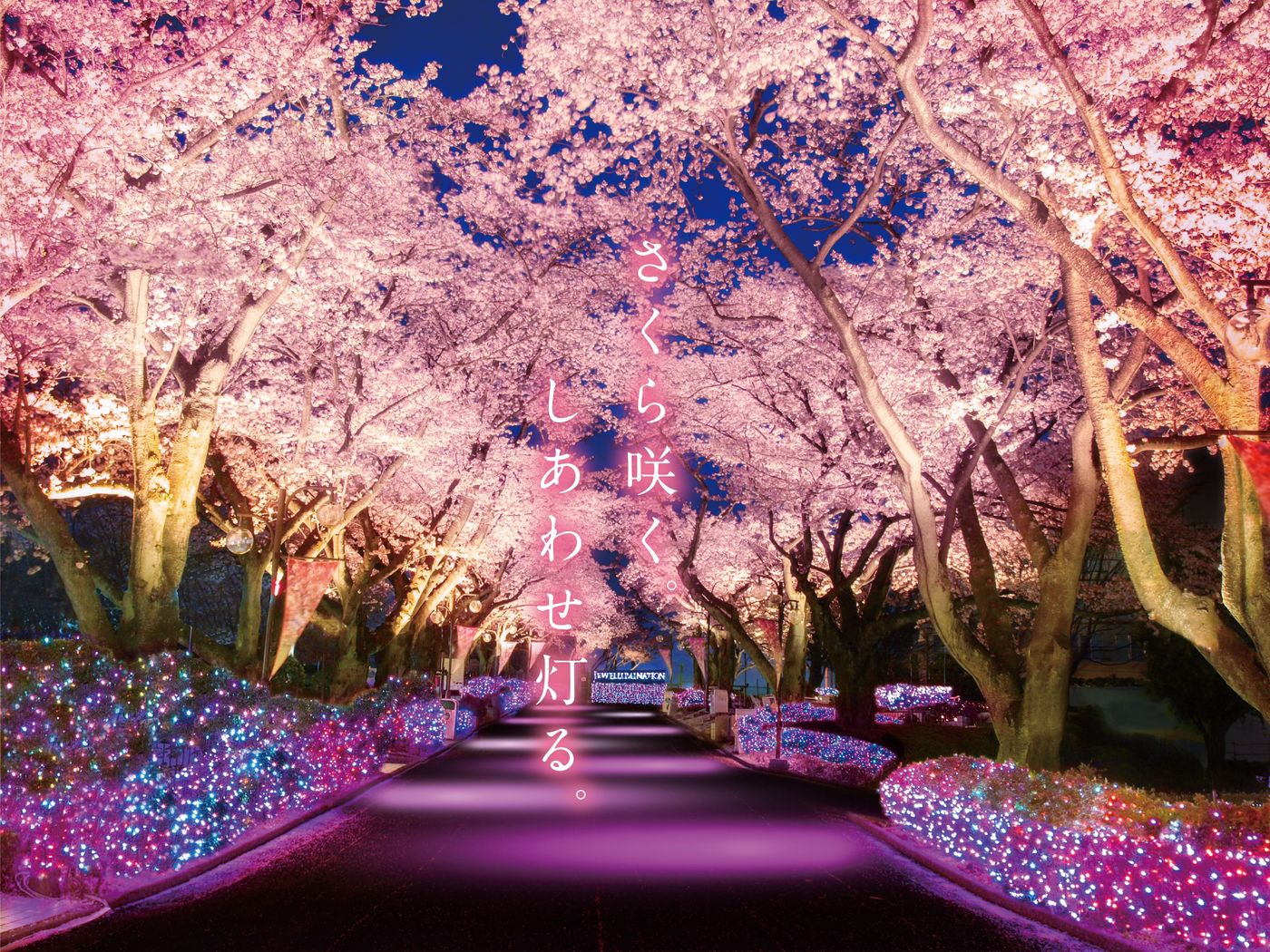 【2025】関東のお花見スポット12選！絶景の桜が楽しめる名所を紹介の画像