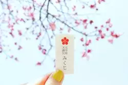 【週末女子旅】春にオススメ♡梅の花が満開の太宰府へ！
