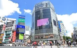 渋谷初心者さん必読！渋谷を1日楽しむグルメ・観光ガイド完全版