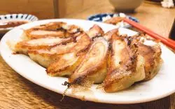 高田馬場のおすすめ餃子7選！肉汁こぼれる絶品餃子を紹介♡