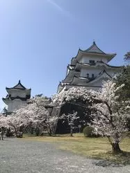 【伊賀】おすすめ桜スポット♡上野城