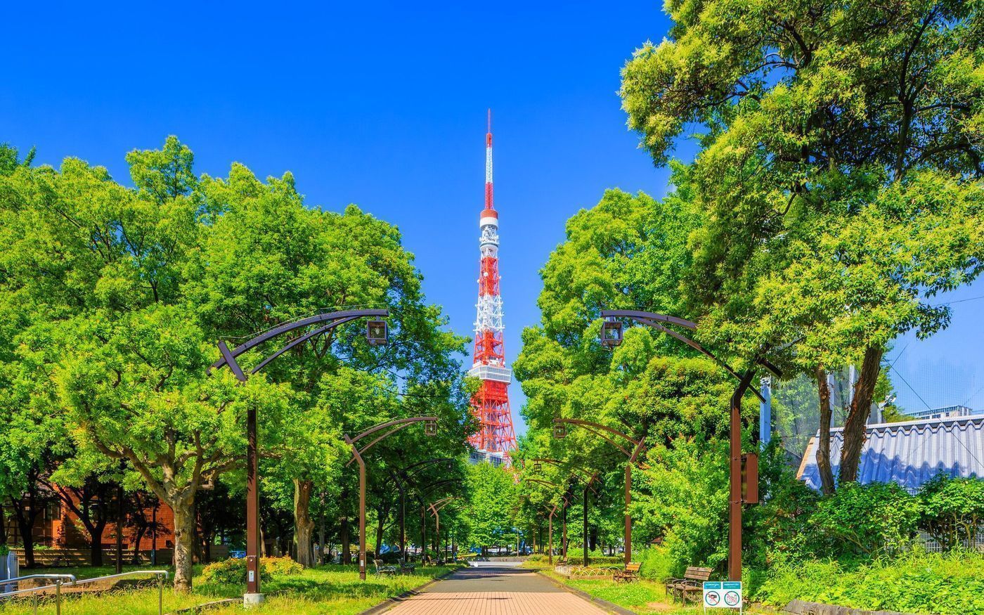 の画像