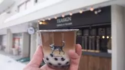 【札幌】台湾茶専門店！大人気タピオカドリンク！