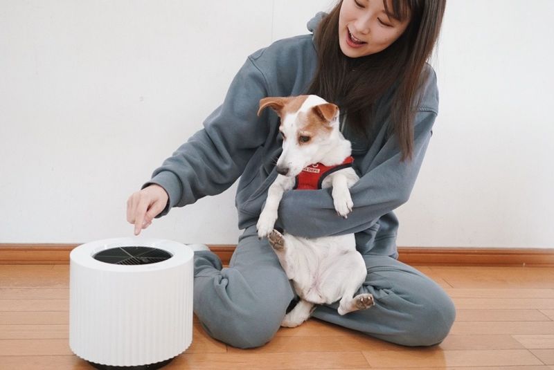 ペットのニオイ対策！クリーンな空間をつくるオゾン発生器『澄風