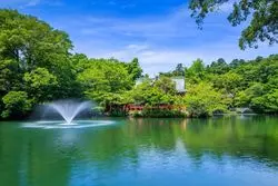 自然を感じてとってもカワイイ！井の頭公園のおすすめランチ5選