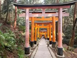 リピーターさんにもオススメ◎京都の伏見稲荷大社に行くなら山頂へ