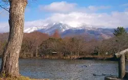 マガモに癒される♡三島池～長浜ミュージアム巡り