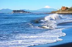 鎌倉・江の島の海を感じる観光グルメ4選♪