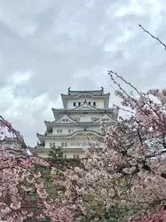 【白×黒】素人でも楽しめる！兵庫の「国宝」お城巡り
