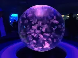 デートにもってこい♡江の島を代表する観光スポット