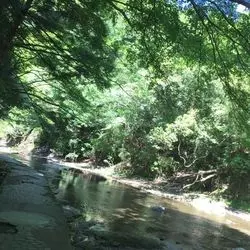 【千葉】GWどこに行く？マイナスイオンを浴びる日帰り旅！
