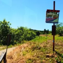 【千葉×里山トロッコ】小湊鐵道でレトロな風景を堪能しよう！