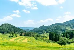 【千葉】大山千枚田から見る棚田の魅力とは？写真撮影のコツもご紹介