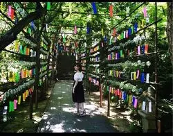 【福岡】自然に囲まれて癒されよう♡おすすめのコースをご紹介！