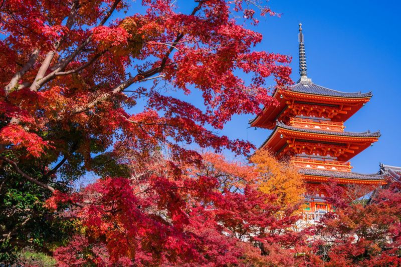 最新 京都で紅葉が堪能できるスポット6選 12月が見頃 Aumo アウモ