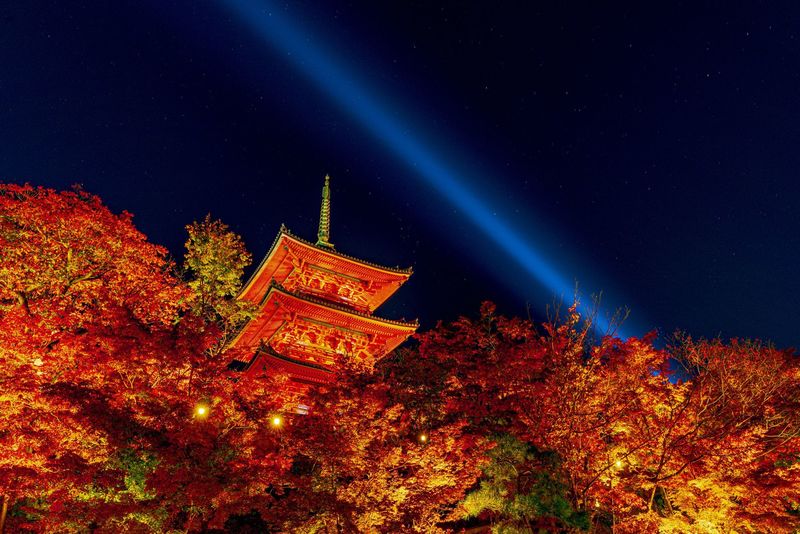 最新 京都で紅葉が堪能できるスポット6選 12月が見頃 Aumo アウモ