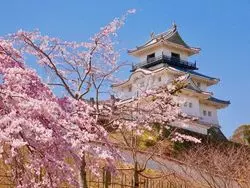【東海】お城と桜とグルメまで♡春は「掛川城」に行こう