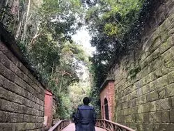 都内から日帰り旅行！神秘的な廃墟で自然に癒される旅☆