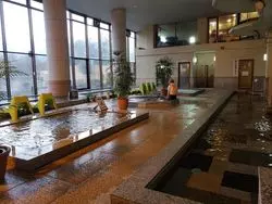 静岡県小山町で水着で入る混浴温泉が楽しい◎須走温泉天恵がオススメ