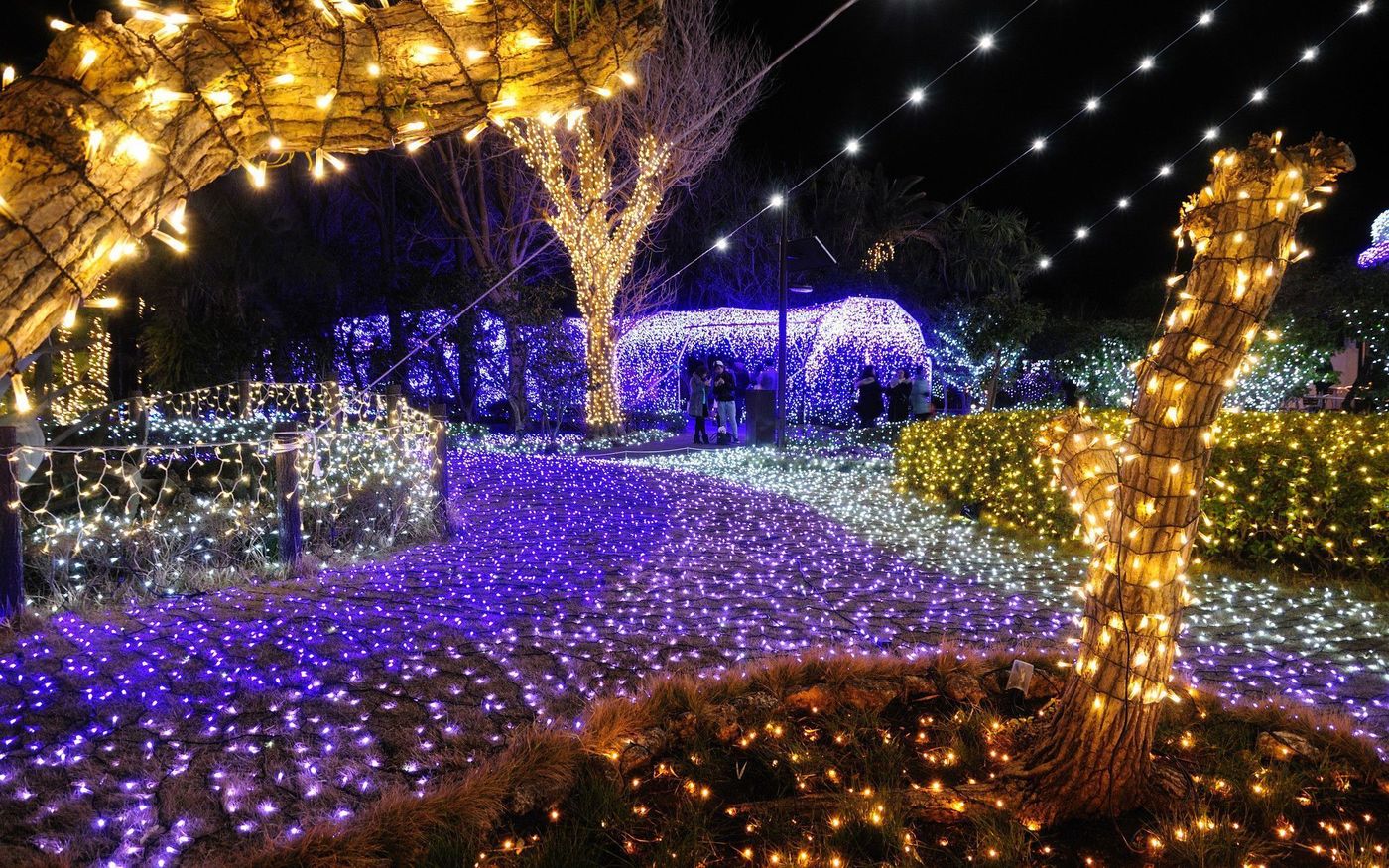 【冬の江ノ島】おすすめデートスポット特集☆カップル必見です♡の画像