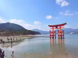 観光からグルメまで！広島観光で外せない”宮島”！