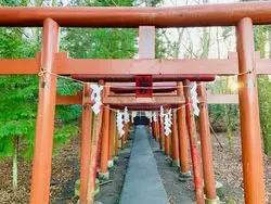【山梨県】金運上昇・商売繁盛・農林業繁盛！山奥に隠れた新屋山神社