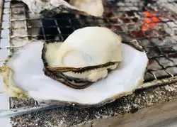 【糸島】ぷりぷりの牡蠣を食べに…♡福岡のおススメグルメ