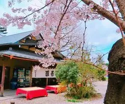 仙台の桜の名所4選！人気スポットから穴場までご紹介