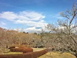 【静岡県富士市】岩本山（イワモトヤマ）公園を探検しよう！