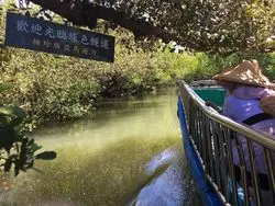 【台湾】絶景♡緑のトンネルを優雅にクルーズする四草緑色隧道