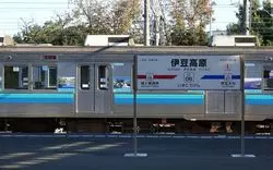 【伊豆女子ひとり旅】日帰りモデルコース！温泉と絶景プラン♪