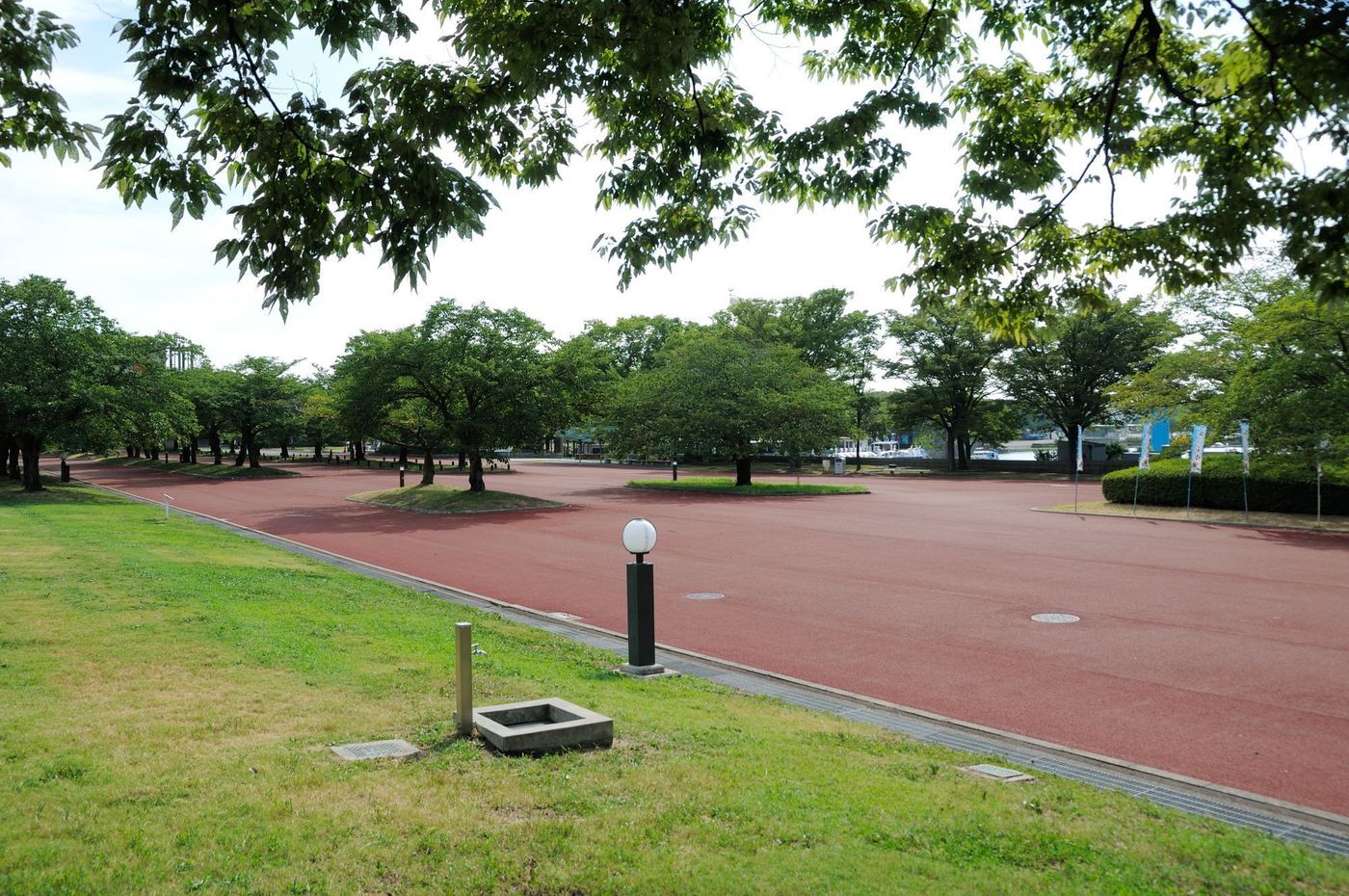 の画像