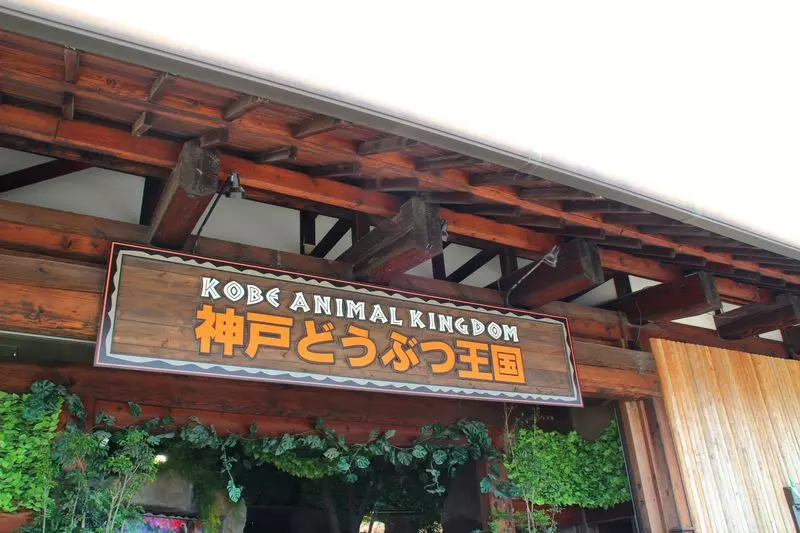 12. 神戸どうぶつ王国 1枚目