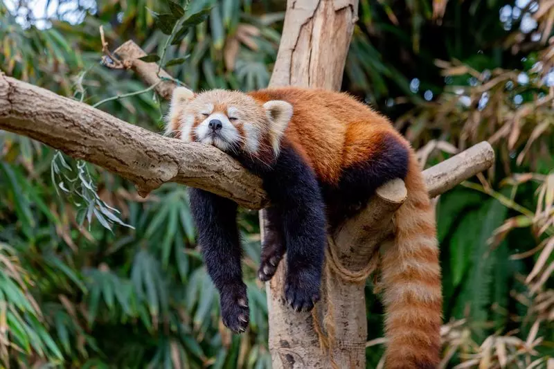 12. 神戸どうぶつ王国 2枚目