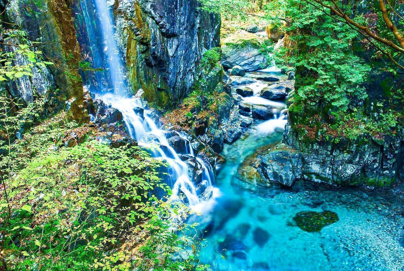 の画像
