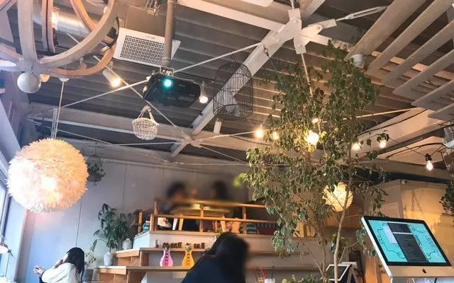 7. 新大久保のおしゃれカフェで買い物途中の一休み♪「MUI MUI」 1枚目