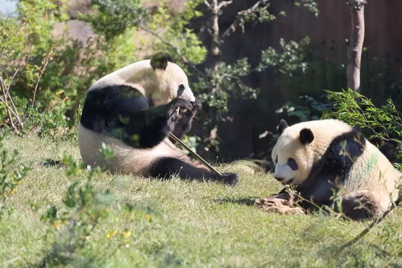 6. 上野動物園|かわいい動物に触れ合える東京のドライブスポット 1枚目