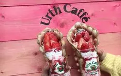 表参道でお茶をするのにピッタリなお店6選をご紹介♪お茶専門店も！