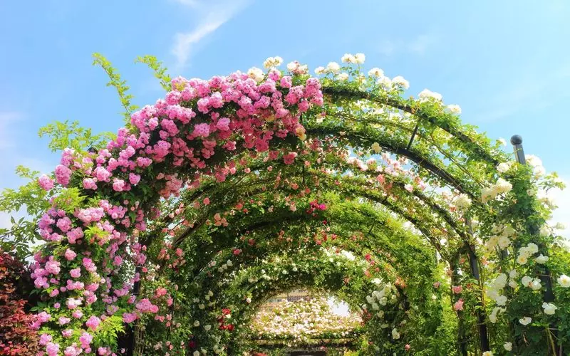 8. 華やかな雰囲気のある神奈川のかわいらしい観光スポット「横浜イングリッシュガーデン」 2枚目