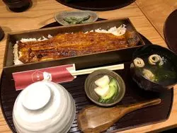 【愛知】筆者オススメ！名古屋の美味しい鰻屋さんPart1