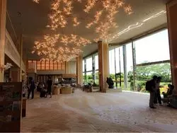 有馬で過ごす極上の時間☆グルメやホテルのプランをご案内！
