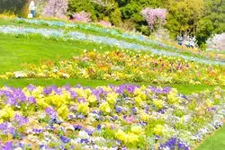 【横浜】春の陽気に誘われて。たくさんのお花に癒されよう