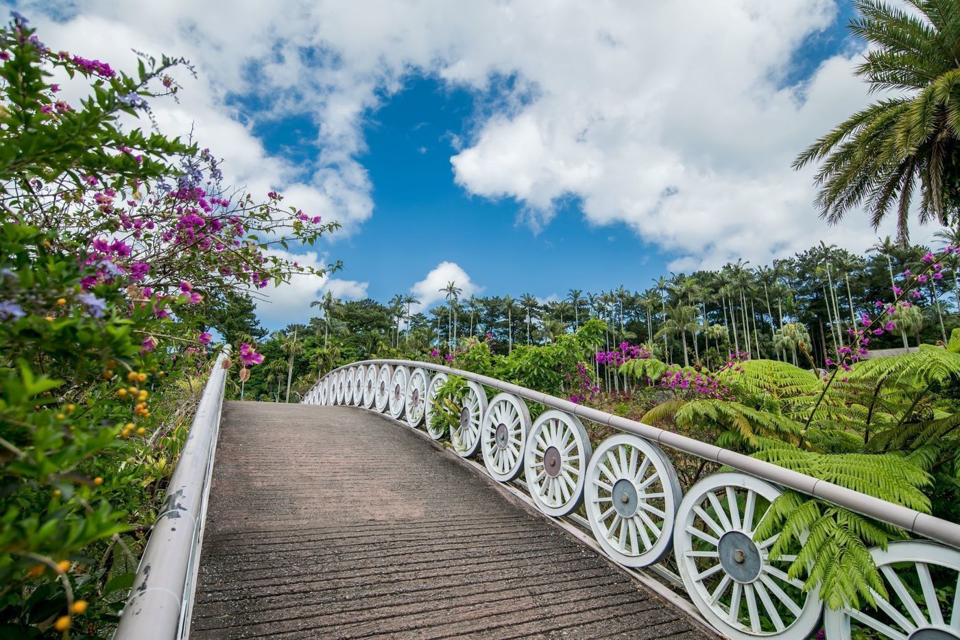 【沖縄】家族旅行にぴったりな観光スポット『東南植物楽園』！季節イベントや楽しめる見所を紹介の画像