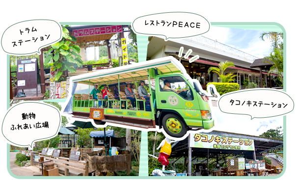 【沖縄】家族旅行にぴったりな観光スポット『東南植物楽園』！季節イベントや楽しめる見所を紹介の画像
