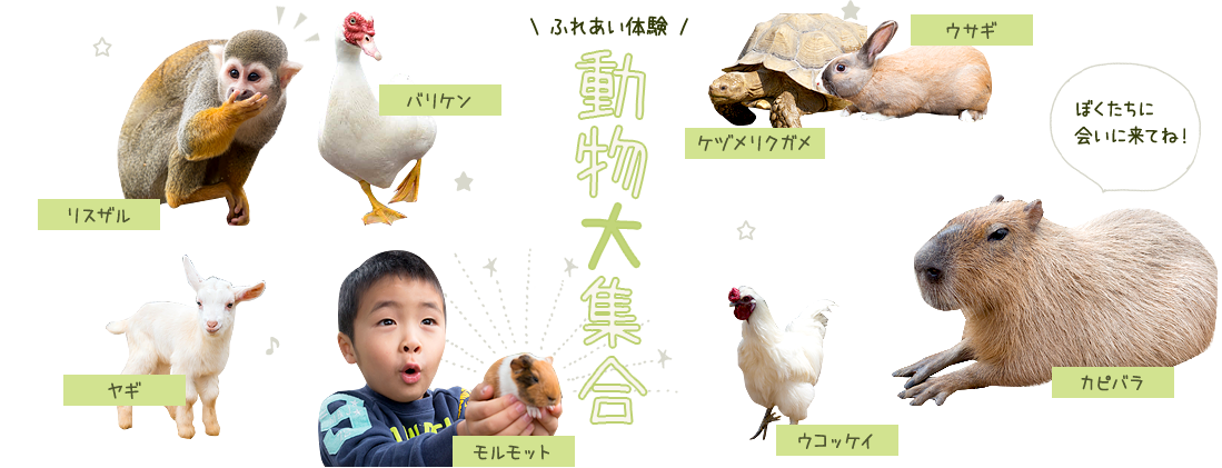 【沖縄】家族旅行にぴったりな観光スポット『東南植物楽園』！季節イベントや楽しめる見所を紹介の画像