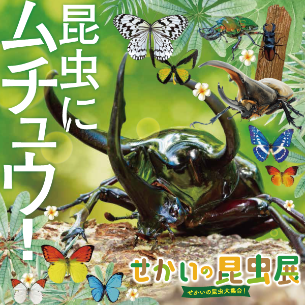 【沖縄】家族旅行にぴったりな観光スポット『東南植物楽園』！季節イベントや楽しめる見所を紹介の画像