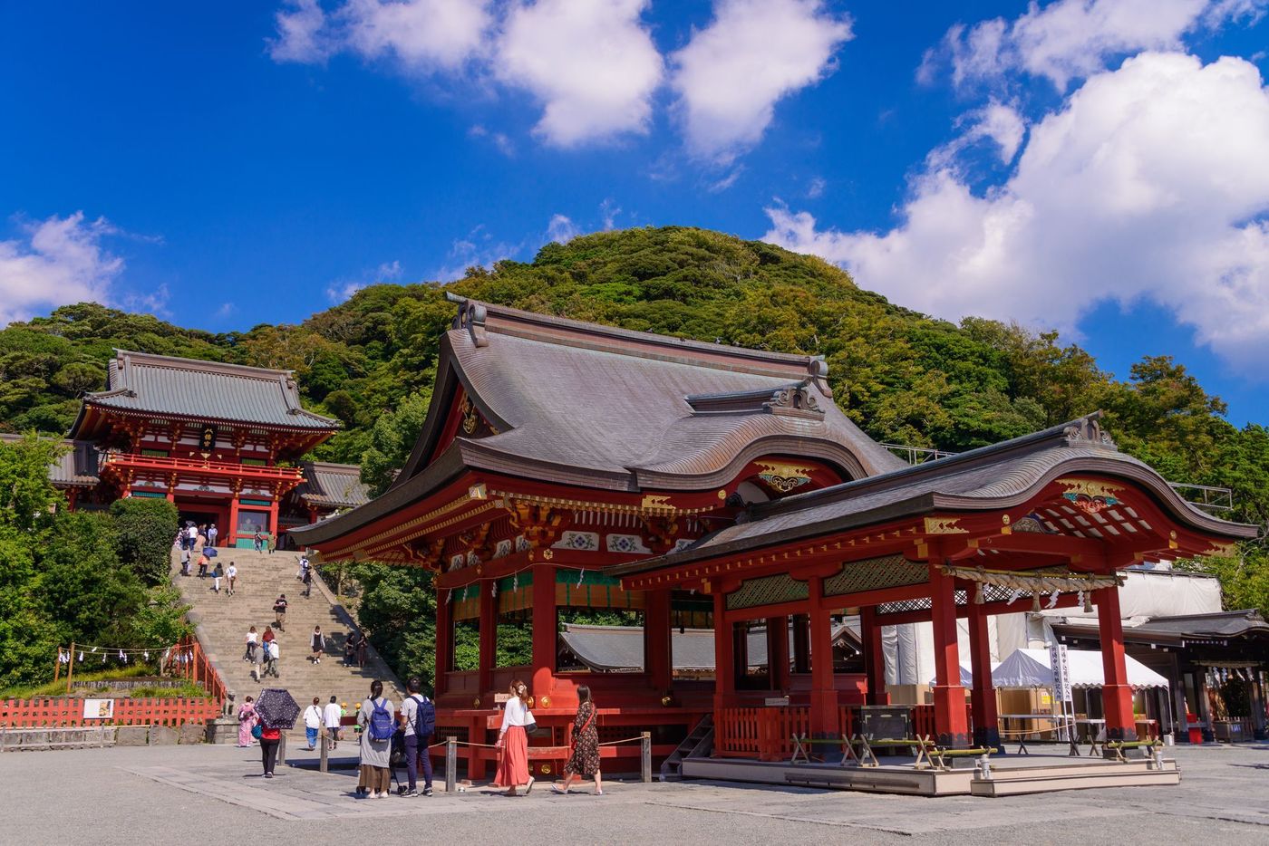 の画像