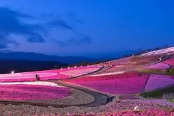 【愛知】茶臼山でお花見と星空観賞を楽しもう♪